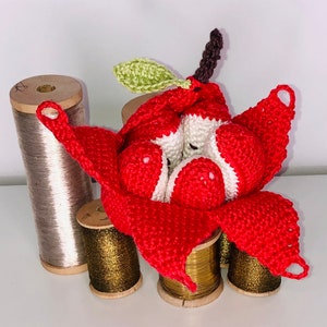 Crochet apple to play at the table or at the merchant CE certified