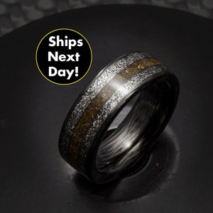 Jurassic Astronomer - Meteorite And Triceratops Fossil Ring, Carbon Fiber Band - Next Day Shipping