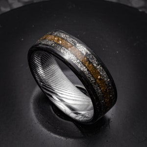 Jurassic Astronomer - Meteorite Ring With Dinosaur Bone, Carbon Fiber And Stainless Damascus Band