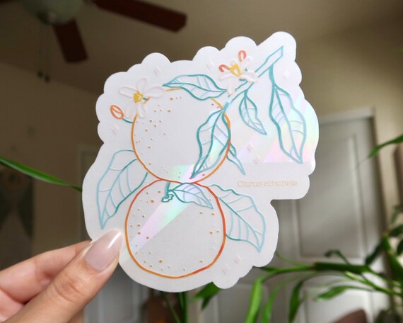 Orange Suncatcher Sticker | Etsy