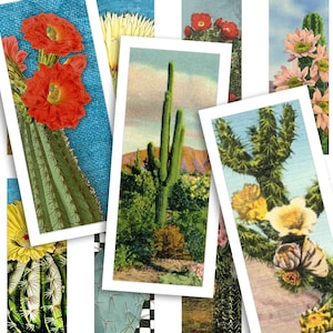 Afdrukbaar collageblad • Woestijncactus • 40 stuks 17x44mm rechthoekige afbeeldingen • Digitale ephemera • Hangende ladekunst • PDF- en JPEG-download
