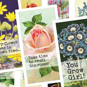 Afdrukbaar collageblad • Inspirerend botanisch • 30 stuks rechthoekige afbeeldingen van 25x50 mm • Digitale ephemera • PDF- en JPEG-download