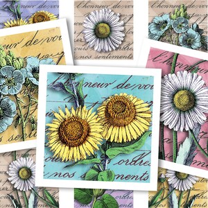 Afdrukbaar collageblad • Vintage botanisch • 48 stuks vierkante afbeeldingen van 1"/25 mm • Digitale ephemera • PDF- en JPEG-download
