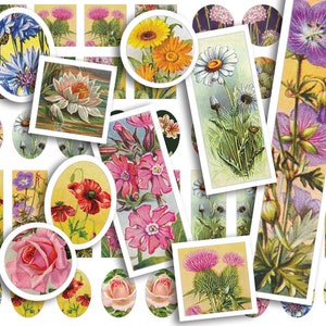 Afdrukbaar collageblad • Kleine bloemen • 178 kleine vierkante, ronde, ovale en rechthoekige bloemenafbeeldingen • PDF- en JPEG-download