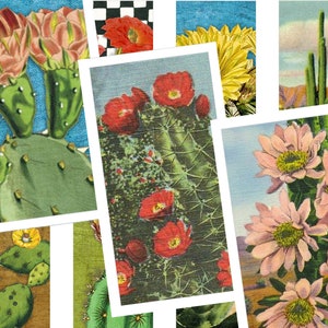 Afdrukbaar collageblad • Woestijncactus • 30 stuks rechthoekige afbeeldingen van 25x50 mm • Digitale ephemera • PDF- en JPEG-download