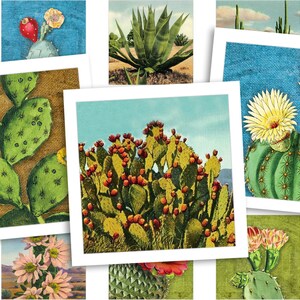 Afdrukbaar collageblad • Woestijncactus • 48 stuks vierkante afbeeldingen van 1"/25 mm • Digitale ephemera • PDF- en JPEG-download