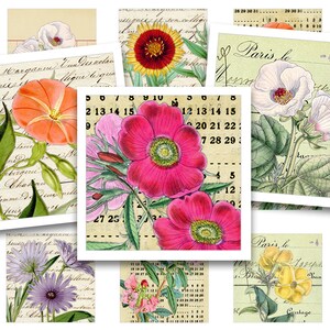 Afdrukbaar collageblad • 48 stuks vierkante afbeeldingen van 25 mm/1" • Botanische notities • PDF- en JPEG-download