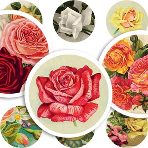Afdrukbaar collageblad • Rozen • 48 stuks ronde afbeeldingen van 1"/25 mm • PDF- en JPEG-download