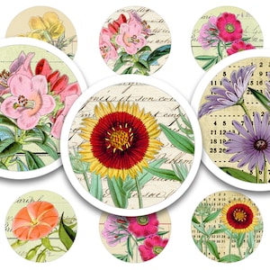 Afdrukbaar digitaal collageblad • 48 ronde afbeeldingen van 1"/25 mm • Botanische notities • PDF- en JPEG-download
