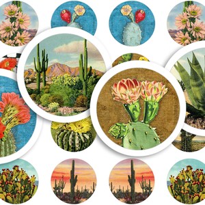 Afdrukbaar collageblad • Woestijncactus • 88 stuks ≈3/4"/20 mm ronde afbeeldingen • Digitale ephemera • PDF- en JPEG-download