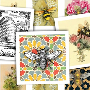 Afdrukbaar collageblad • Bijen en bijenkorven • 48 stuks vierkante afbeeldingen van 1"/25 mm • PDF- en JPEG-download