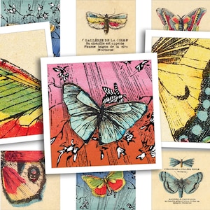 Afdrukbaar collageblad • Vlindertentoonstelling • 48 stuks vierkante afbeeldingen van 1"/25 mm • Digitale ephemera • PDF- en JPEG-download