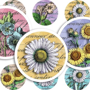 Vintage Botanische Digitale Collage Vel • 48 Ronde 1"/25mm Afbeeldingen • Zonnebloemen en Madeliefjes • Afdrukbare Ephemera • PDF & JPEG Download