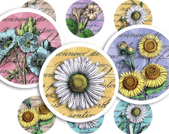 Vintage Botanical Digital Collage Sheet • 48 Round 1"/25mm Images • Sunflowers and Daisies • Printable Ephemera • PDF & JPEG Download