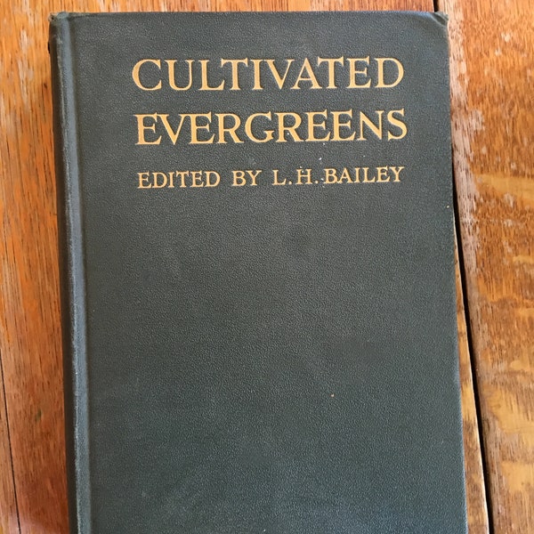 Cultivated Evergreens