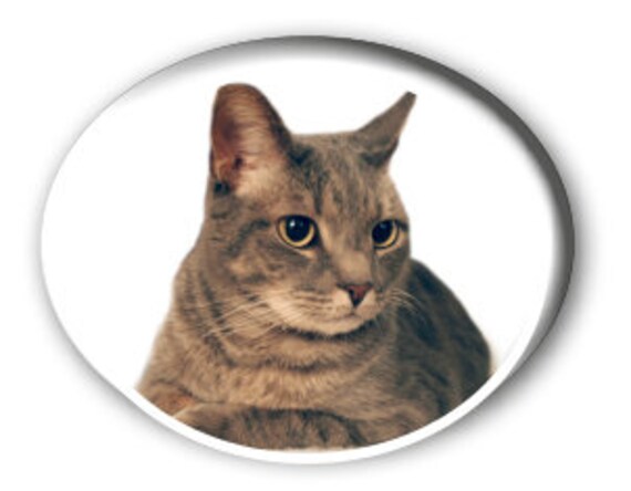 cat plaques for graves