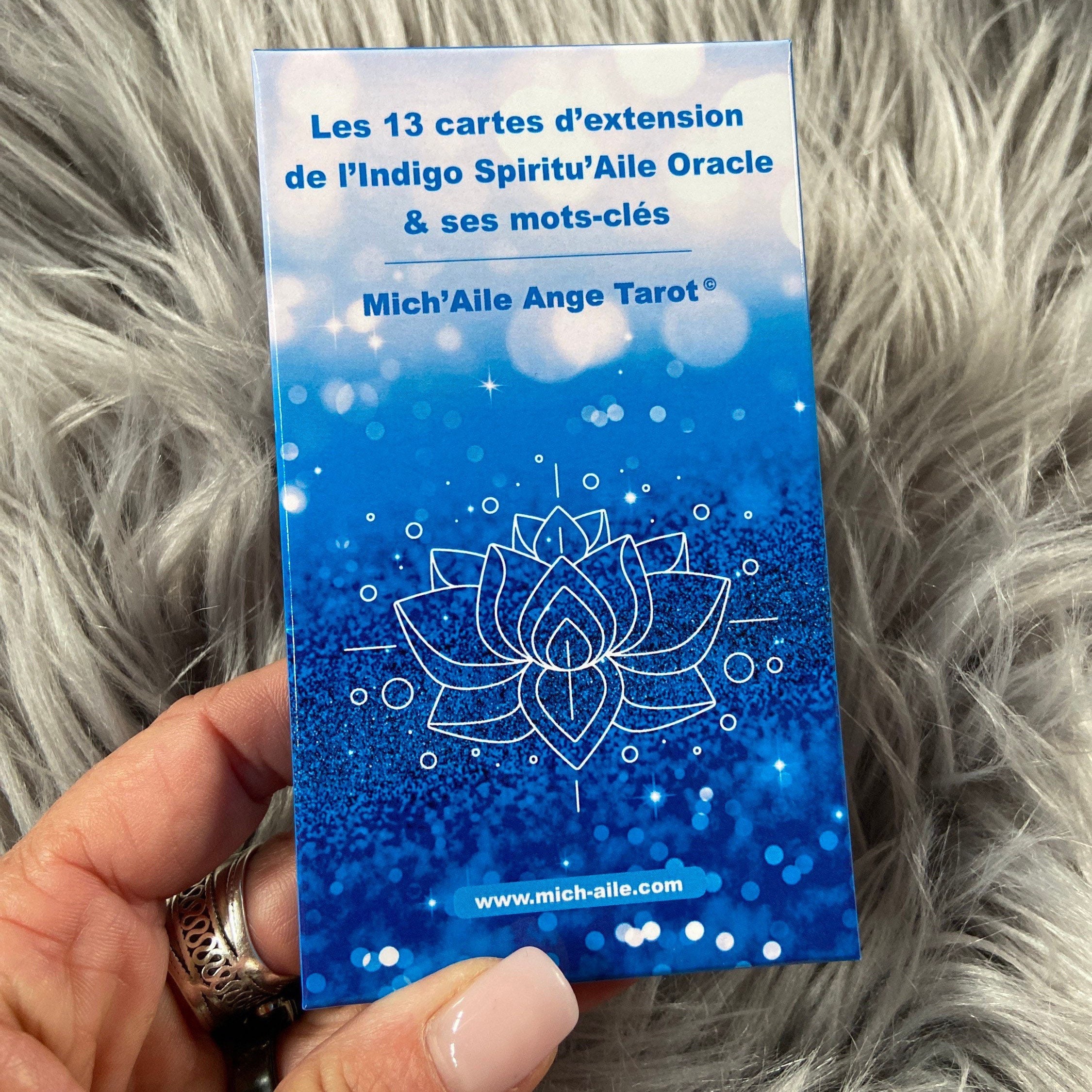 Extension N1 de Indigo Oracle 13 Cartes Pour + Notice Explicative Chaque - 53 à 65