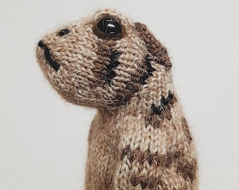 The Toad Knitting Pattern