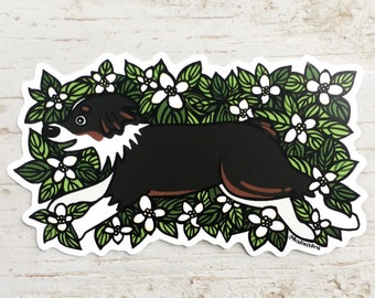 Australian Shepherd sticker, Dogwood flower floral sticker, mini Aussie stickers, Alaska dwarf dogwood, dog lovers, happy dog,