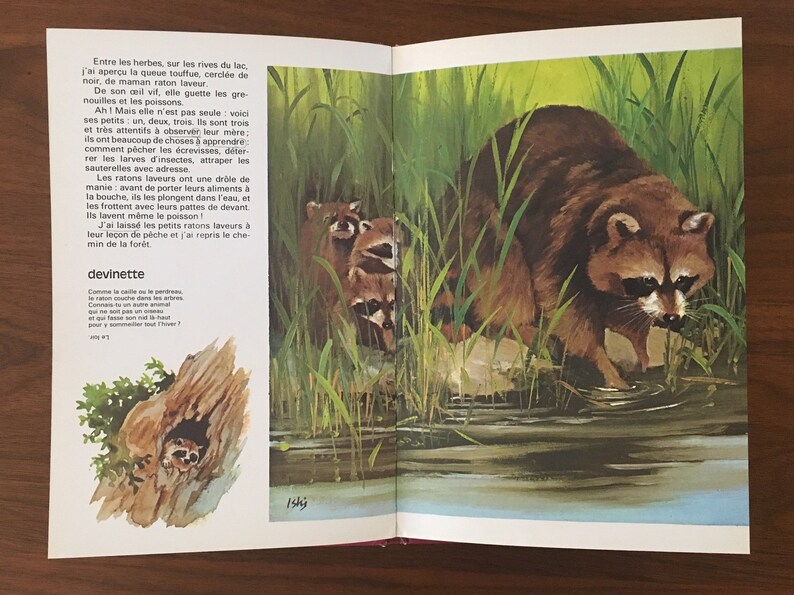 2 Hard Cover French Childrens Books Early 1970s Bébé Cerf Bébé Ours