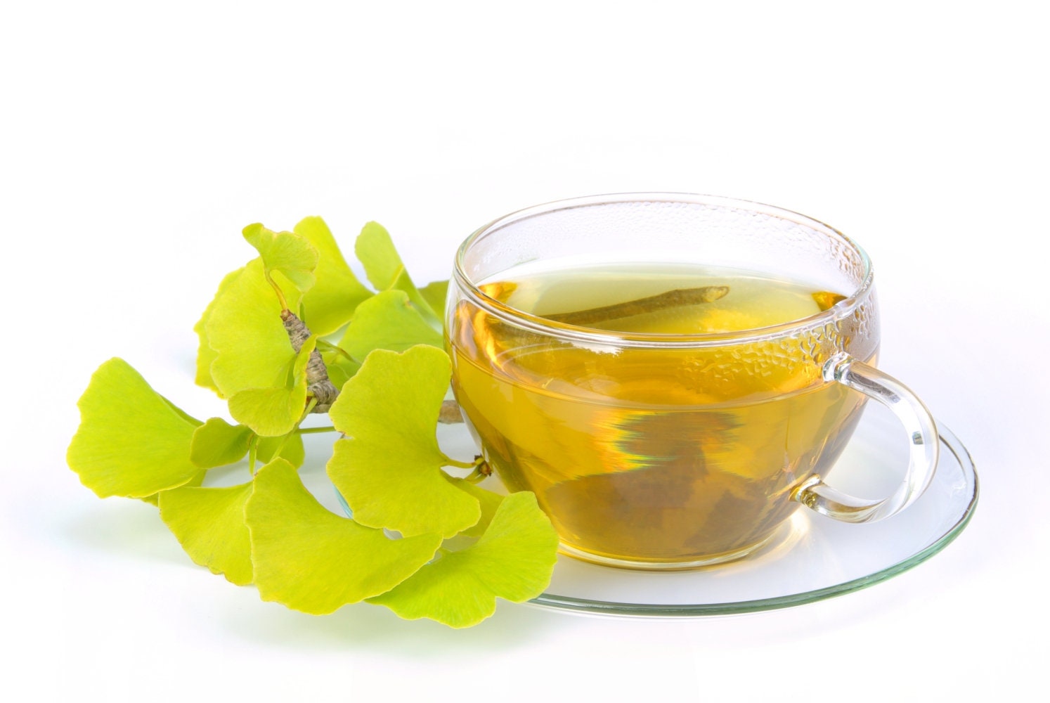 Ginkgo Biloba Leaf Tea / Health Embassy - Etsy
