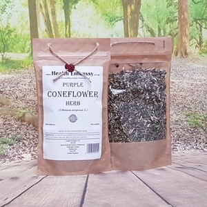 Purple Coneflower Herb / Echinacea purpurea L / Health Embassy