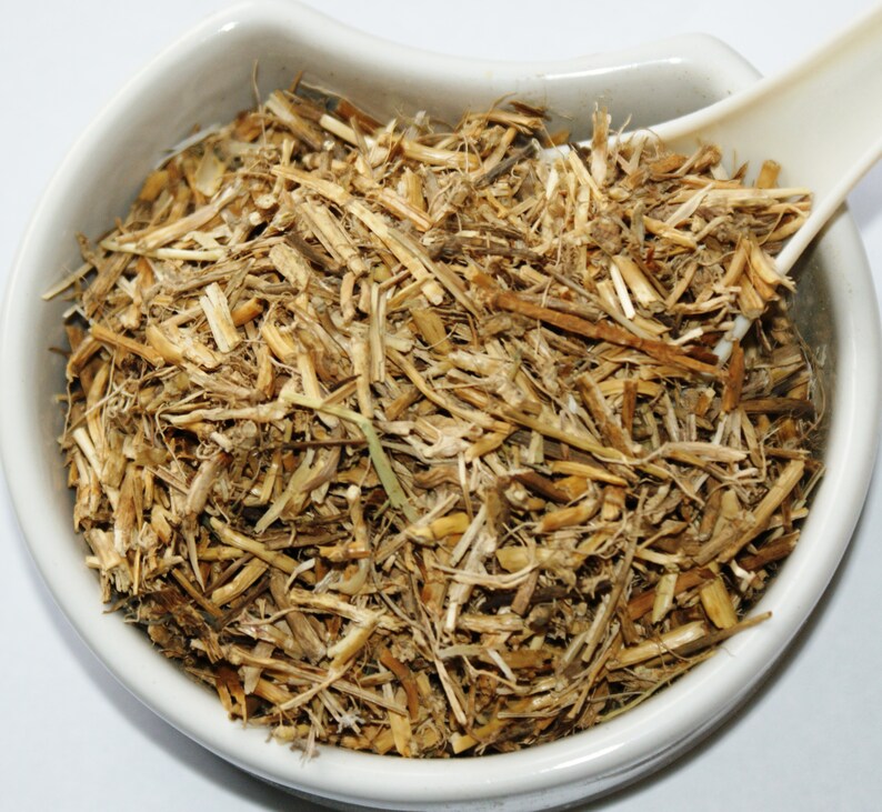 Couch Grass Rhizome / Elymus Reprns L / Herbal Tea Health Etsy