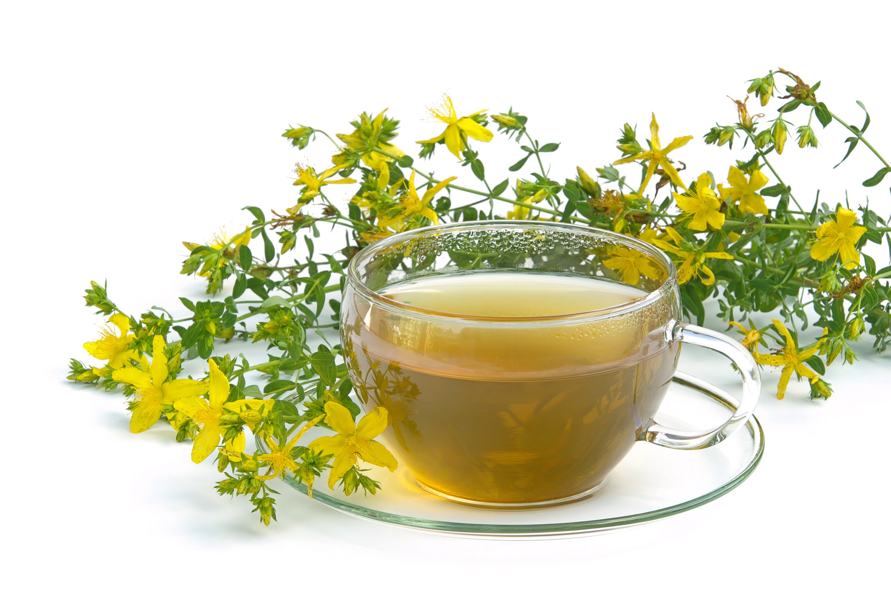 St. John's Wort Tea / Hypericum perforatum / Health Etsy