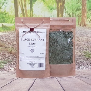 Black Currant Leaf / Ribes nigrum L / Health Embassy