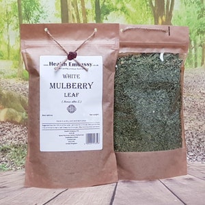 White Mulberry Leaf / Morus alba L / Herbal Tea Health Embassy