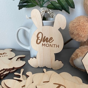 Signes marquants de 12 mois pour les photos de bébé