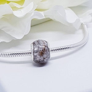 Dije de plata de ley para cenizas de cremación: Memorial de mascotas/pelo