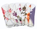 6 Pack Organic Cotton Cloth Pads: Reusable Sanitary Napkins product logo