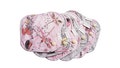 Reusable Organic Cotton Thong Pantyliners, Dragonfly Rose Print, 7 Pack product logo