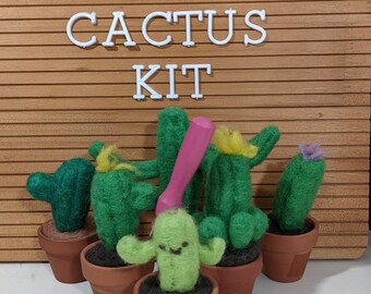 Needle Felted Cactus Kit