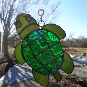 Cute Little Turtle