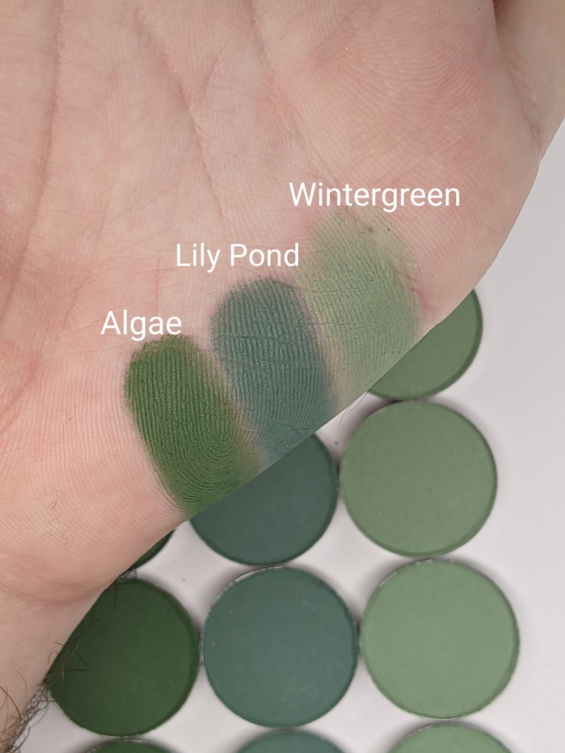 Lily Pond Eyeshadow Matte Green Teal image 4