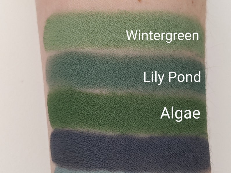 Lily Pond Eyeshadow Matte Green Teal image 2