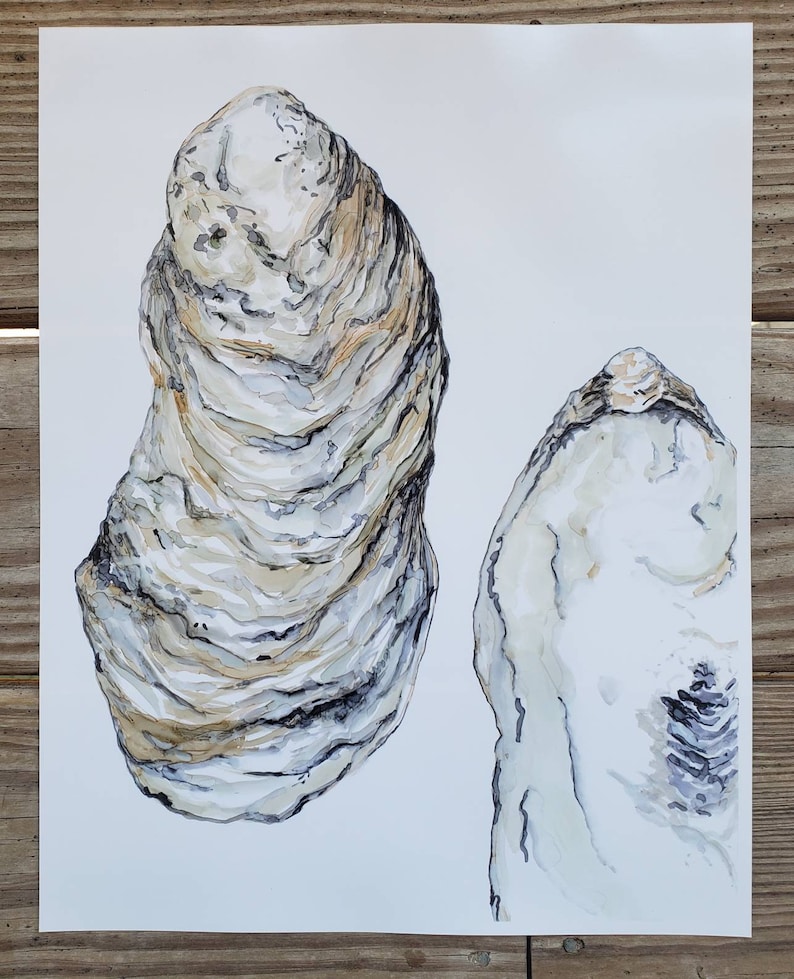 Oyster Art Print Neutral Oyster Art Coastal Art Oyster Etsy