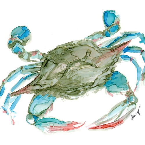 Blue Crab Wall Art Print Coastal Art and Beach Decor Crab Etsy