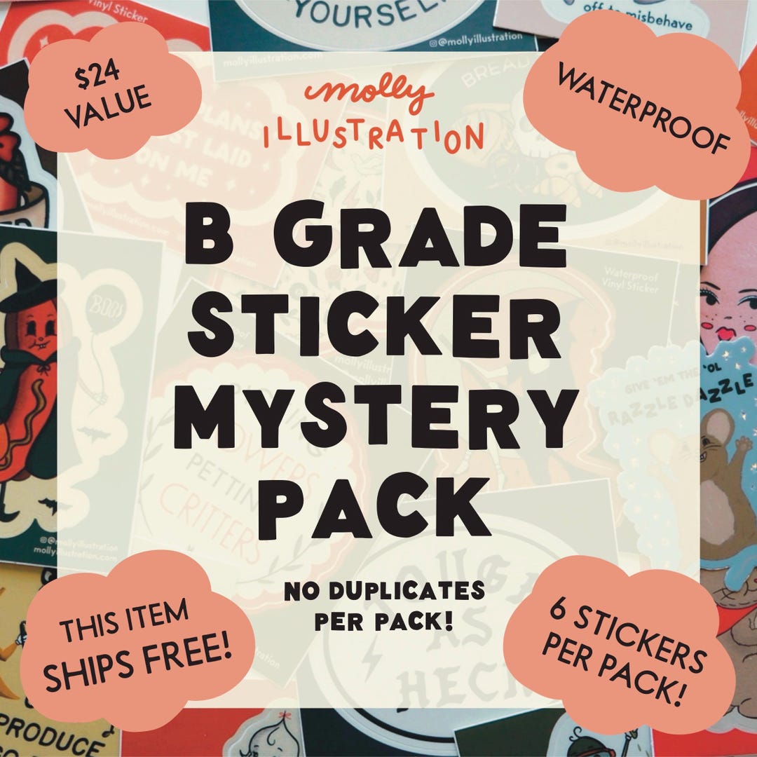 Level B Sticker B Grade Vinyl Sticker Mystery Pack- Waterproof - Etsy