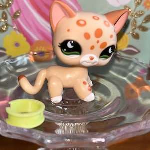 Littlest Petshop Pet Shop LPS Authentic Authentique cat