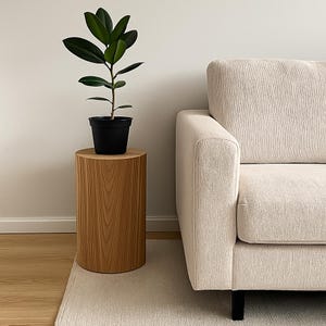 Puede incluir: Una peque&ntilde;a mesa auxiliar redonda de madera con una planta en maceta. La planta tiene hojas de color verde oscuro y est&aacute; en una maceta negra. Un sof&aacute; color crema es parcialmente visible en el lado derecho de la imagen. La mesa mide unos 40 cm de di&aacute;metro.