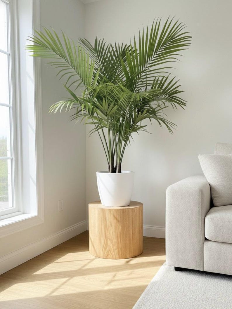 Pedestal de madera - Soporte para plantas o columna de exhibición / Decoración del hogar hecha a mano / Grabado personalizado disponible / Estante para artículos imagen 9