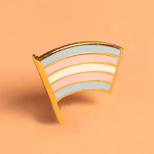 Trans Pride Flag Pin