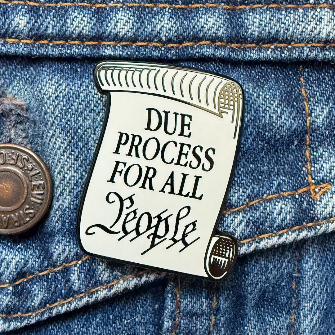 Due Process for All People Pin - Etsy