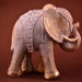 see more listings in the Elephants section