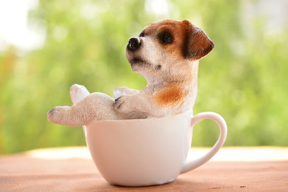 dog in the cup