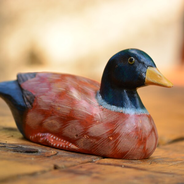 Mandarin Duck Art Etsy