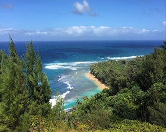 Kauai | IKE | The world is what you think it is.
